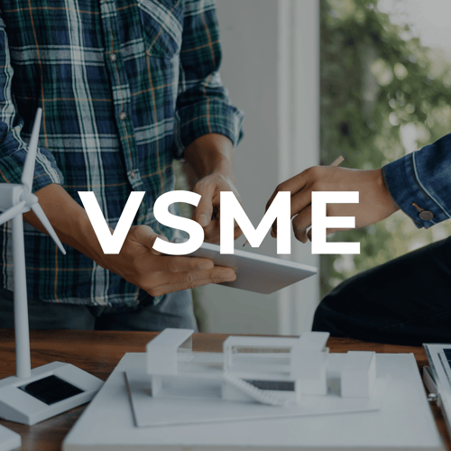 VSME - Frequently Asked Questions Answered (FAQ)