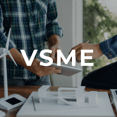VSME FAQ