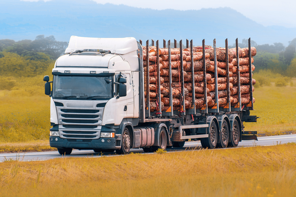 From the EUTR to the EUDR: Navigating the transition