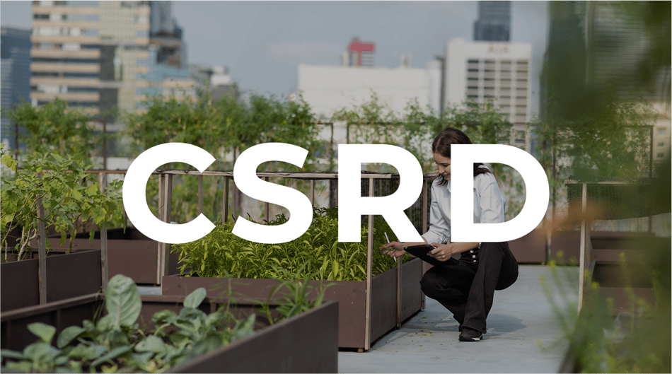 CSRD - Frequently Asked Questions Answered (FAQ)