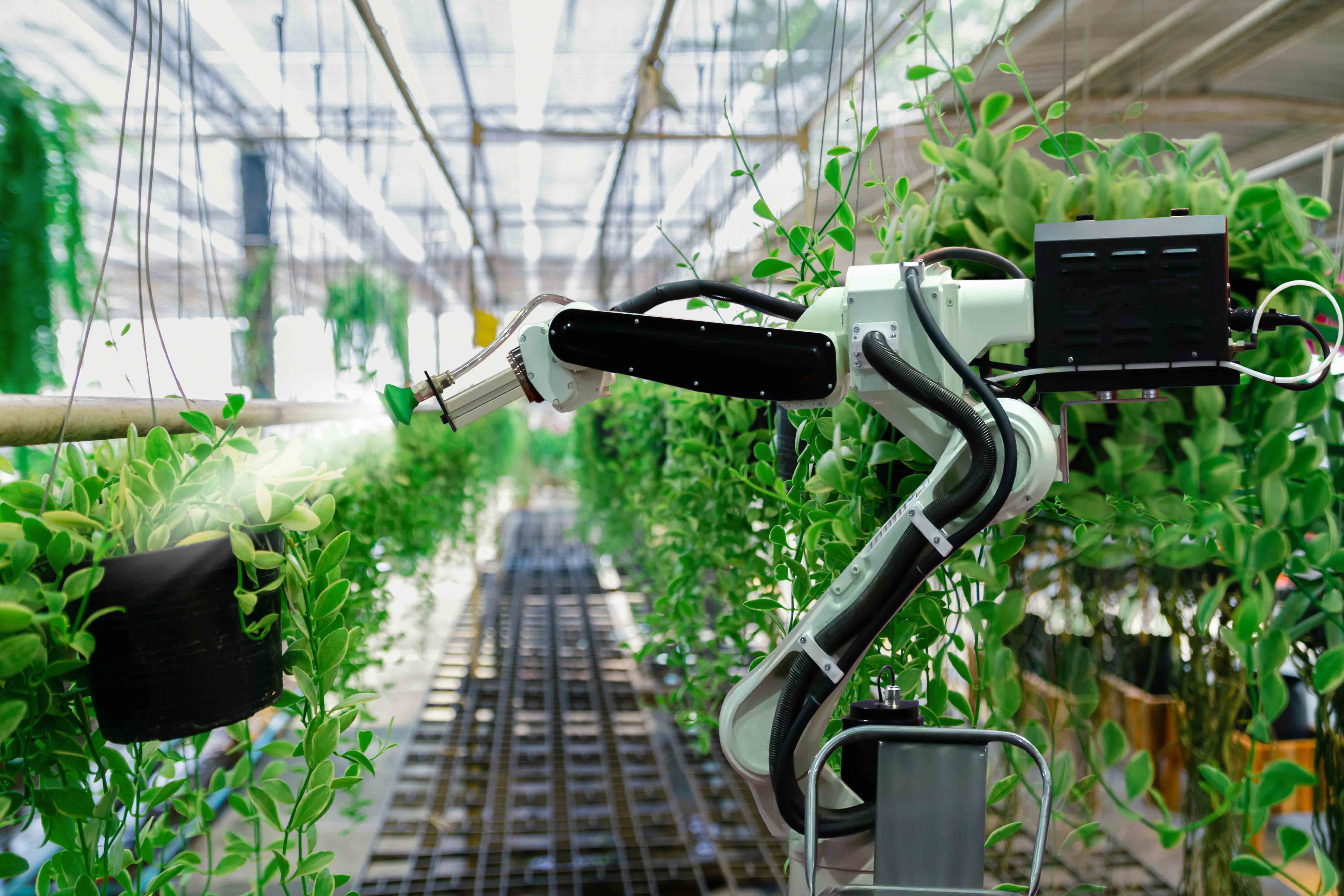 Agriculture