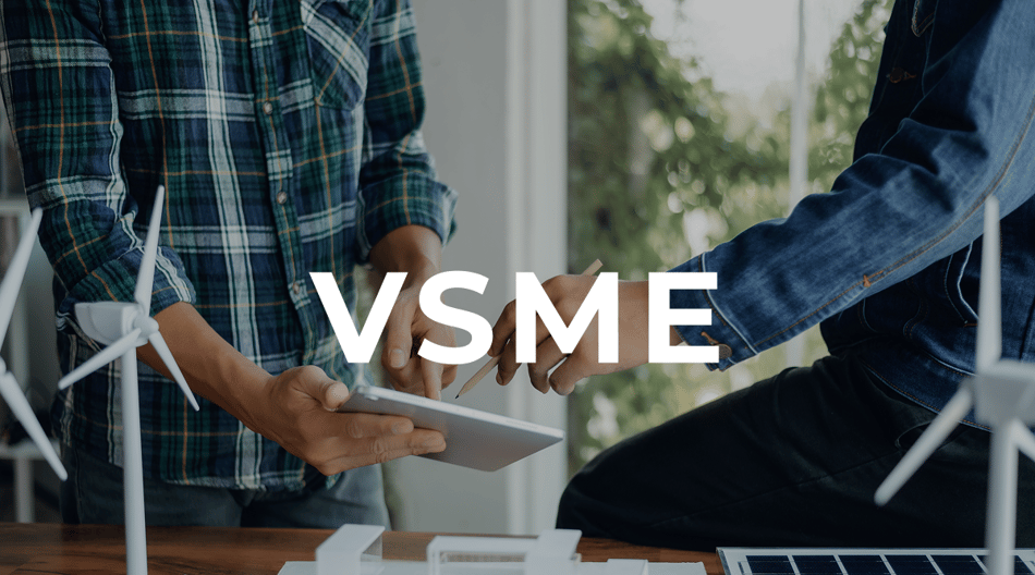 VSME - Frequently asked questions answered (FAQ)